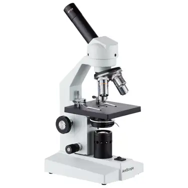 AAPSK 003/2026 - taulant test